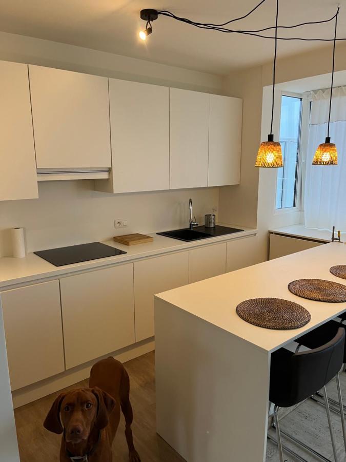 דירות אוסטנדה Penthouse Mathilde מראה חיצוני תמונה